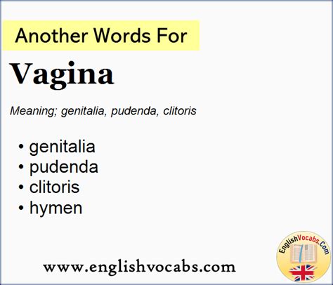 pussy synonyms|What is another word for vagina